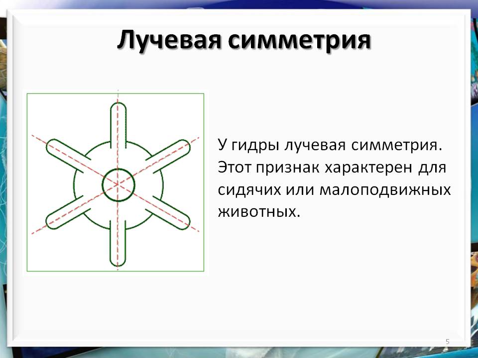 Kraken официальный сайт ссылка krk store com