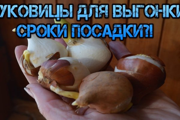 Кракен даркнет площадка ссылка