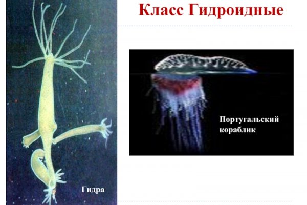 Kra39.cc Вход на сайт главная страница
