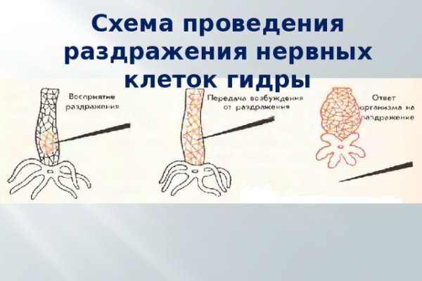 Почему не могу зайти на кракен