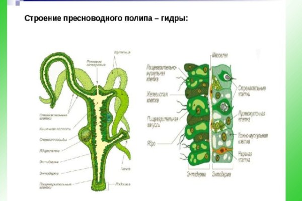 Kra42.at