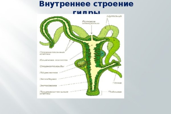 Кракен маркетплейс ссылка тг