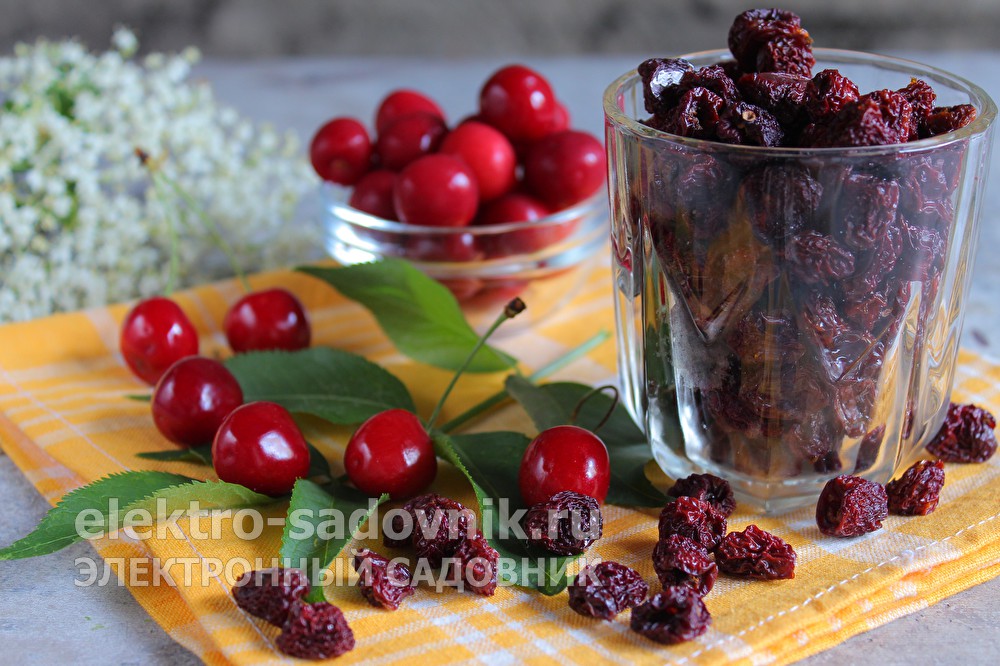 Кракен ссылка тупа германия