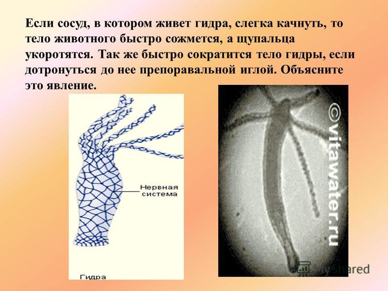 Кракен сайт 2krnk