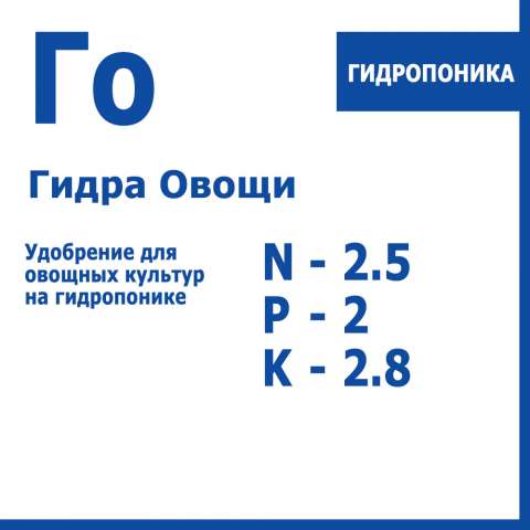 Сайты даркнета